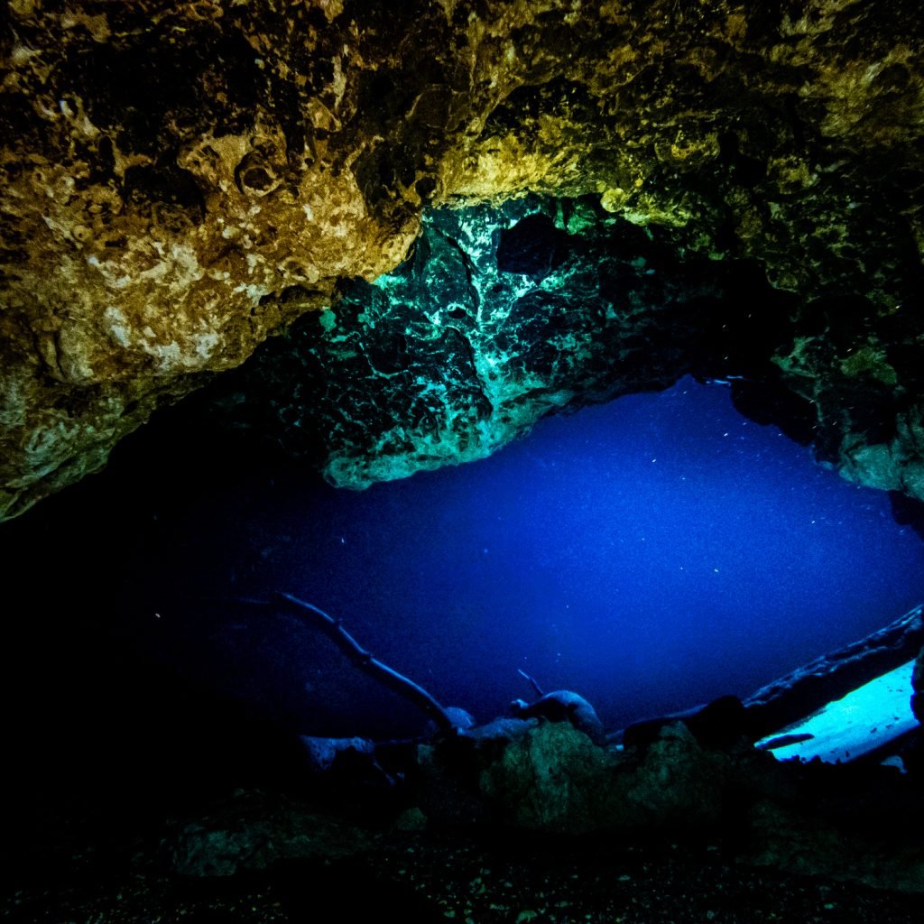 Cenote Blue Hole, Itchetucknee Springs State Park, Florida Cenote Blue Hole, Itchetucknee Springs State Park, Florida