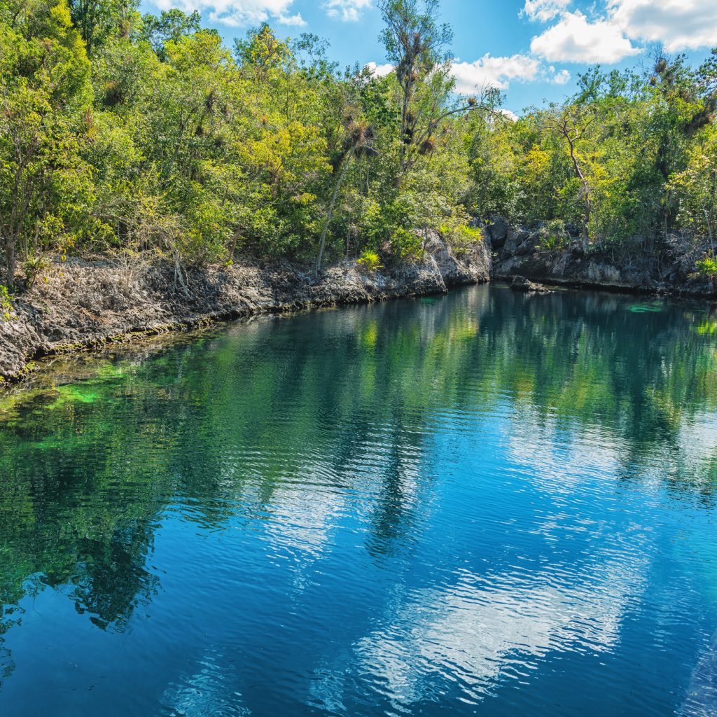 Cenote Cueva de los Peces Cuba Cenote Atlas Cenote Cueva de los Peces Cuba Cenote Atlas