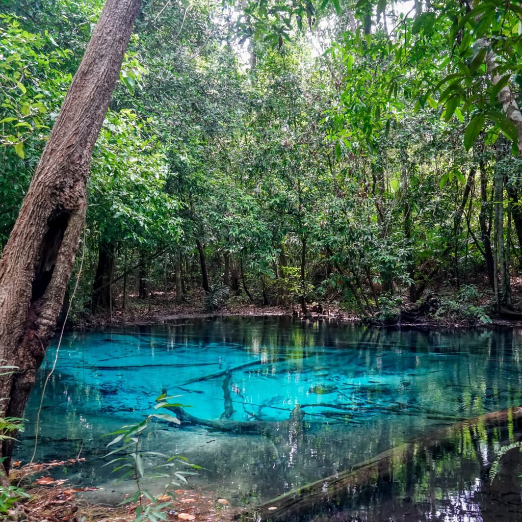 Cenote Emerald Lake Thailand. Cenote Emerald Lake Thailand.